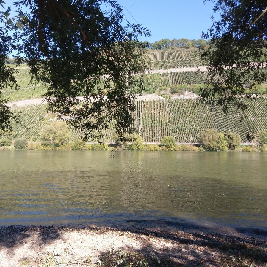 Fewo Sonnenlay - Apartments An Der Mosel Brauneberg Bagian luar foto