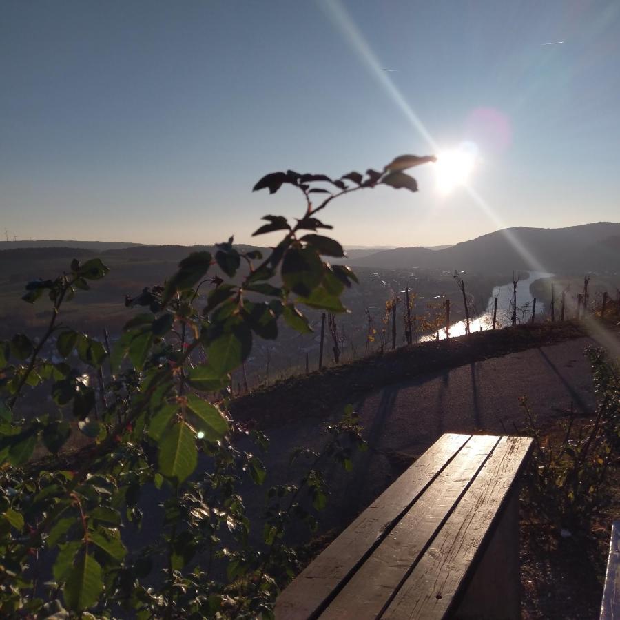 Fewo Sonnenlay - Apartments An Der Mosel Brauneberg Bagian luar foto