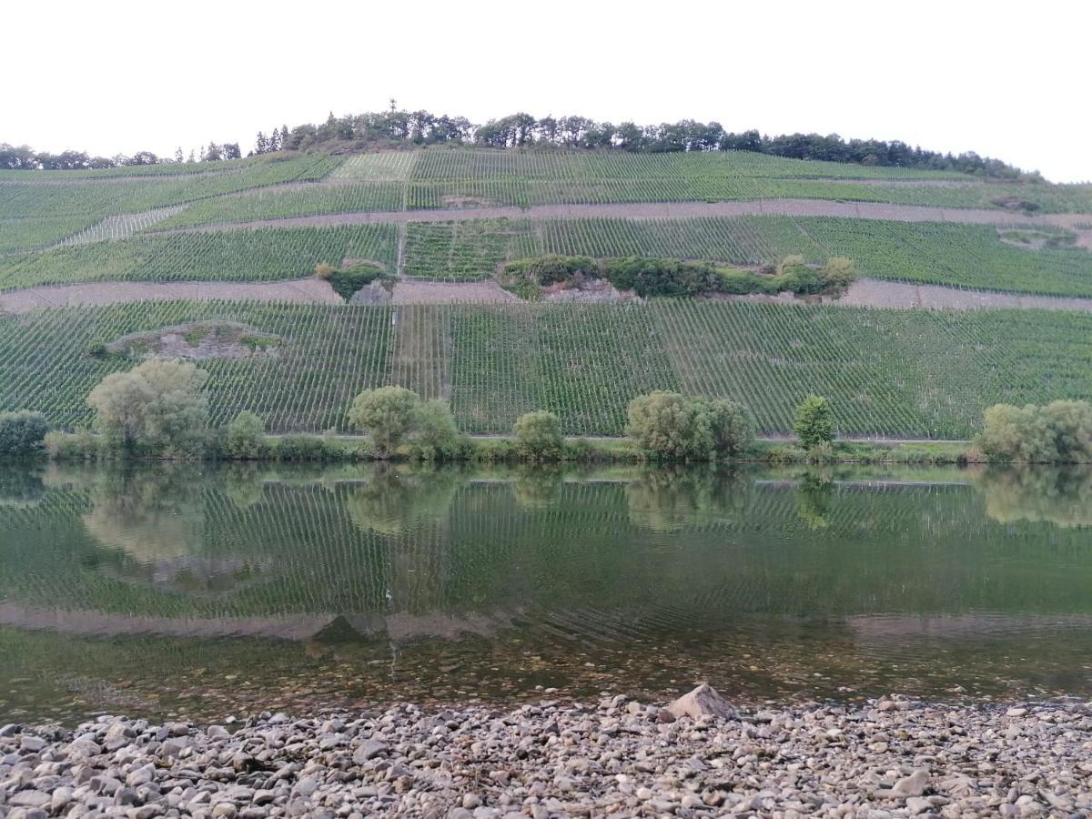Fewo Sonnenlay - Apartments An Der Mosel Brauneberg Bagian luar foto