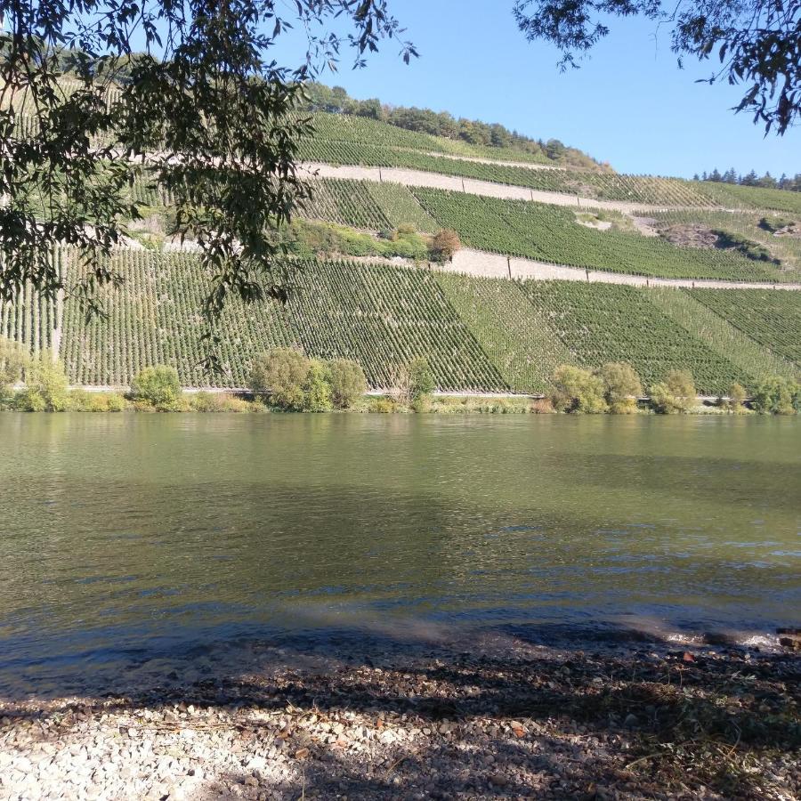 Fewo Sonnenlay - Apartments An Der Mosel Brauneberg Bagian luar foto